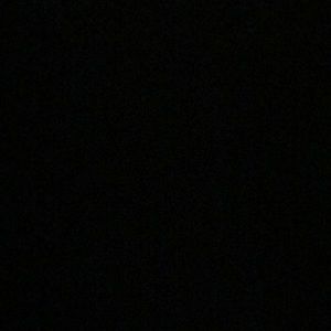 Meet your Posher, Delaney